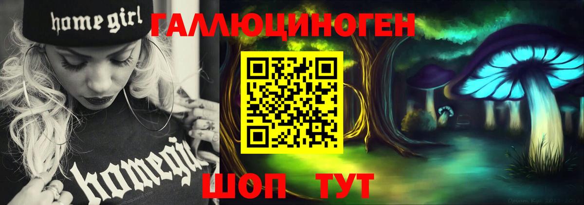 Галлюциногенные грибы Cubensis Апшеронск